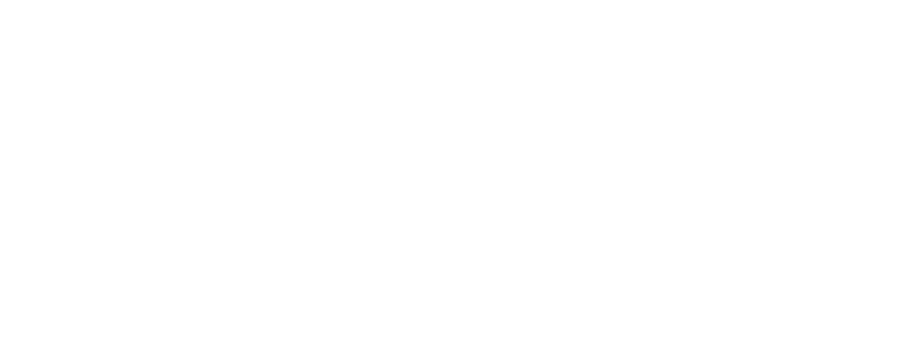CFO Financial Management and Analytics (FM&A)