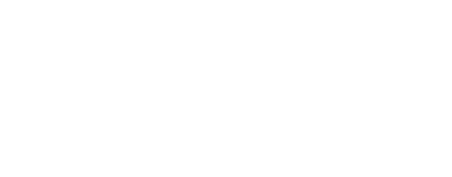 CFO Financial Management and Analytics (FM&A)